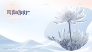 耳鼻咽喉损伤课件