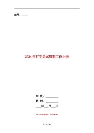 2024年打字员试用期工作小结