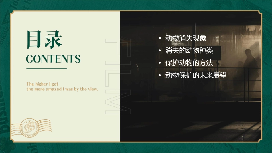 许多动物消失了课件_第2页