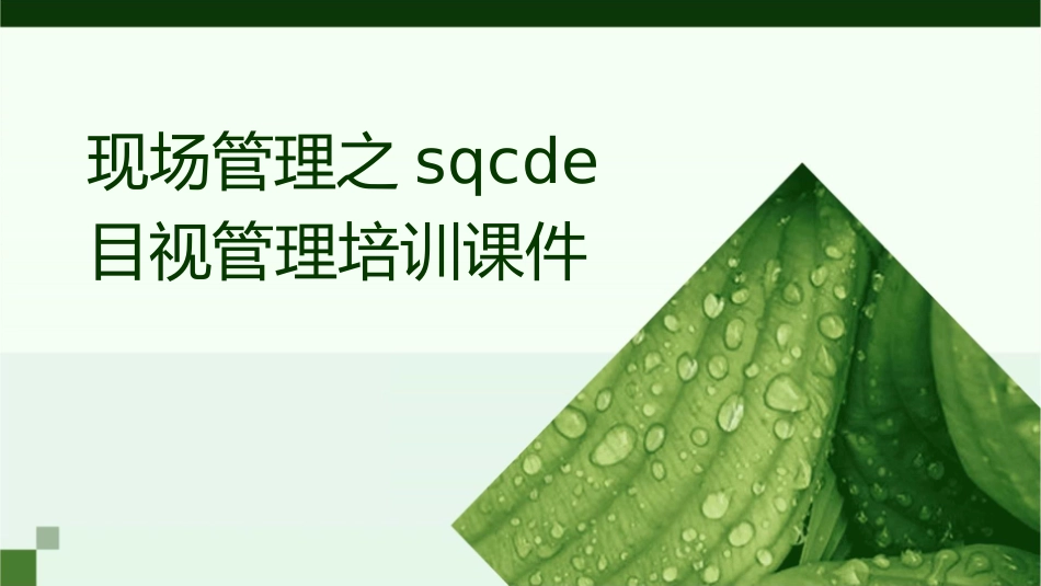 现场管理之SQCDE目视管理培训课件_第1页
