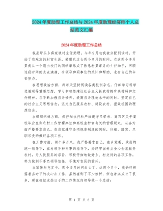 2024年度助理工作总结与2024年度助理经济师个人总结范文汇编