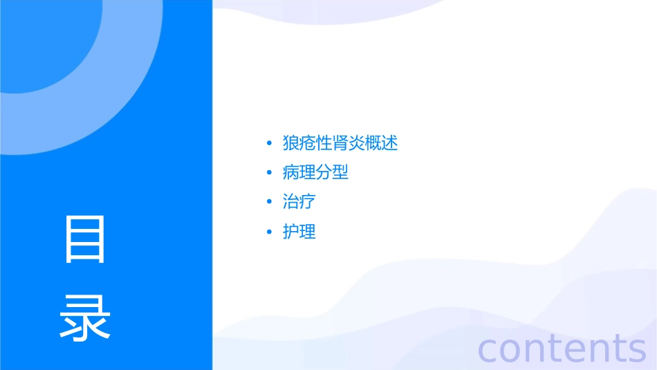 狼疮性肾炎病理分型及治疗护理课件_第2页