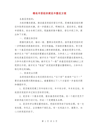 市委组织建设年整改方案