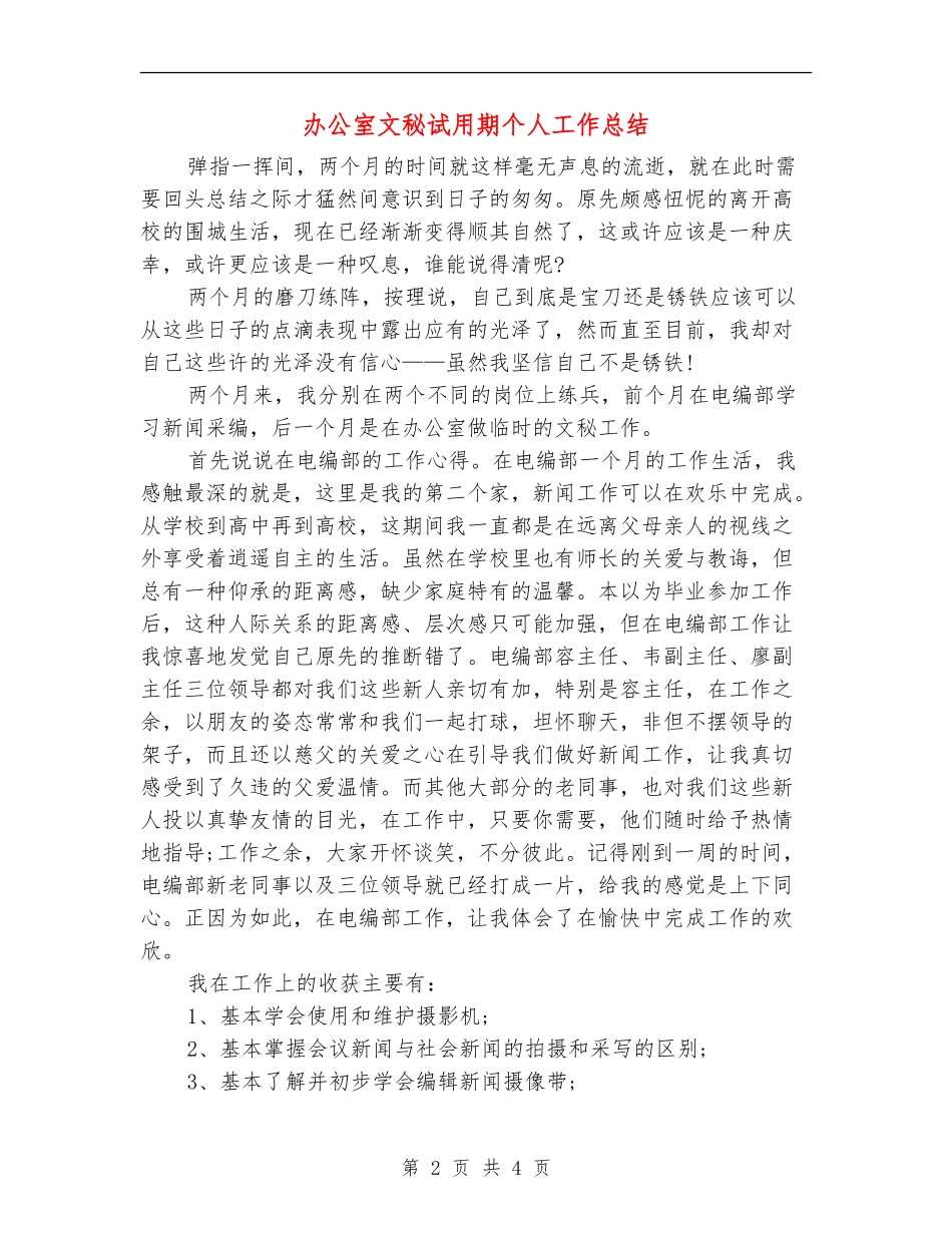 办公室文秘试用期个人工作总结_第2页