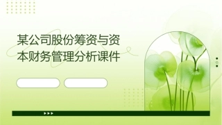 某公司股份筹资与资本财务管理分析课件