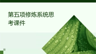 第五项修炼系统思考课件