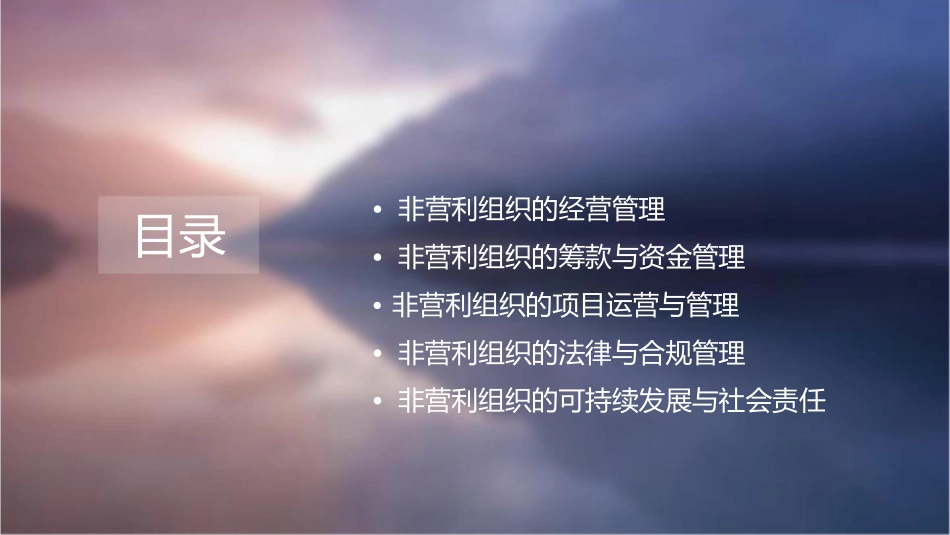 非营利组织NPO的经营管理课件_第2页