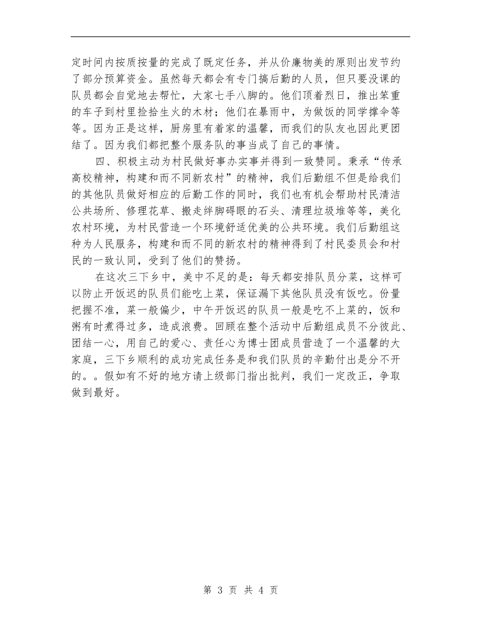 三下乡社会实践活动后勤工作总结_第3页