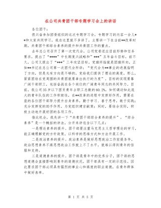 在公司共青团干部专题学习会上的讲话