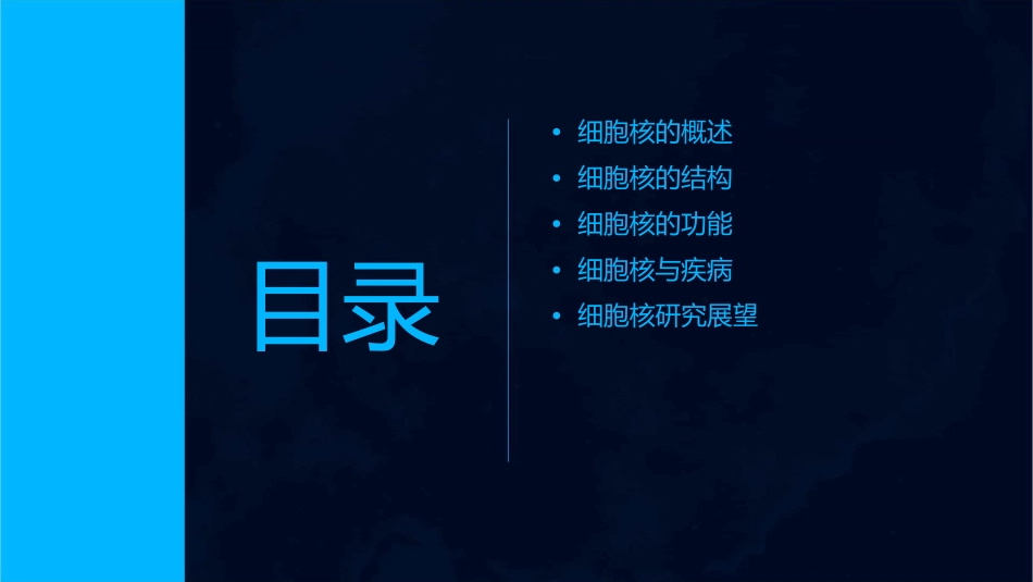 细胞核的结构与功能课件_第2页