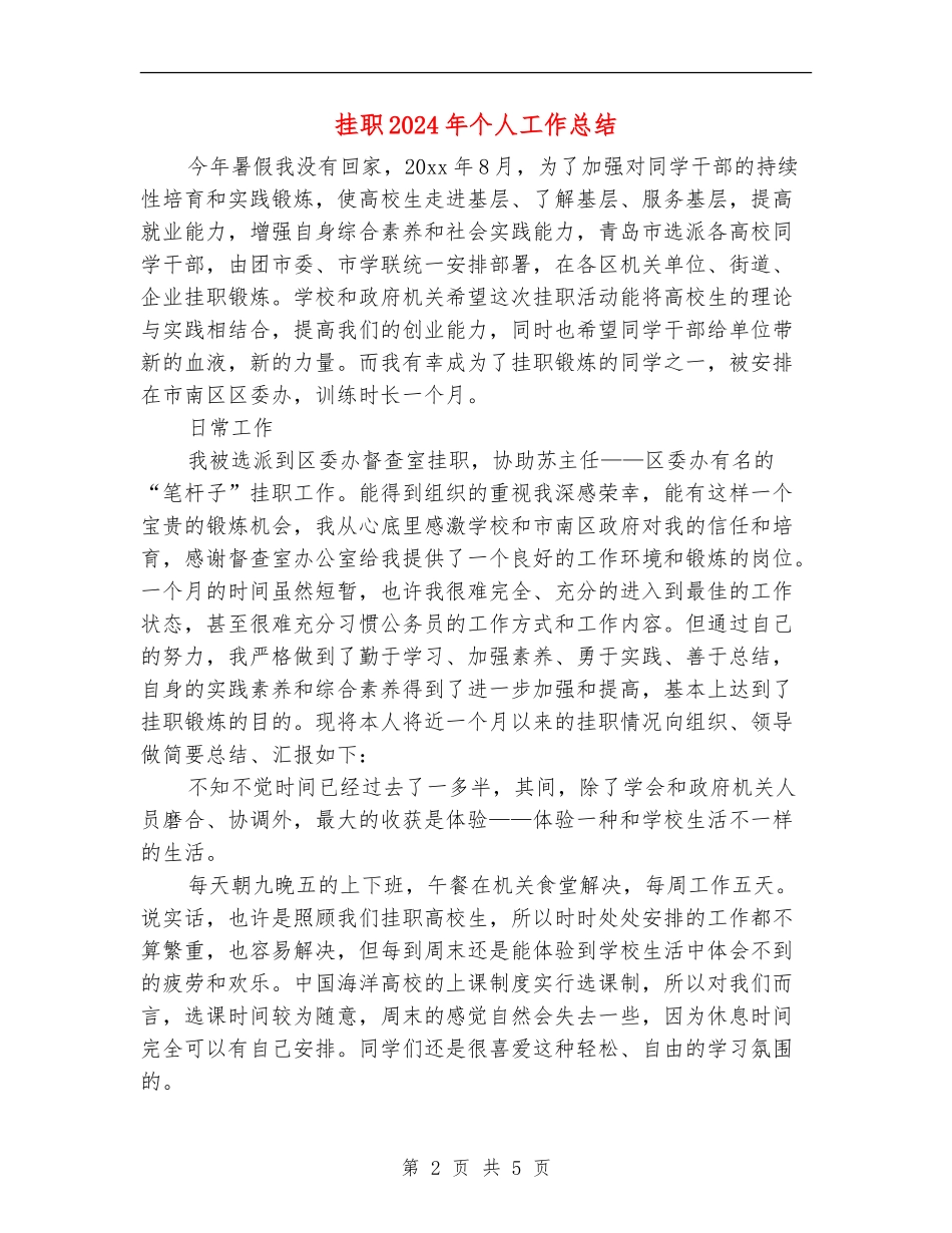 挂职2024年个人工作总结_第2页