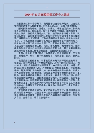 2017年11月在校团委工作个人总结