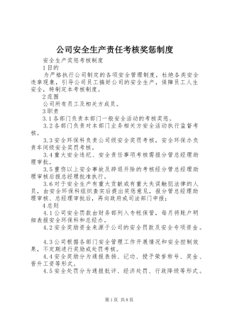 公司安全生产责任考核奖惩规章制度  (2)