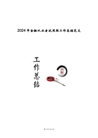 2024年金融从业者试用期工作总结范文