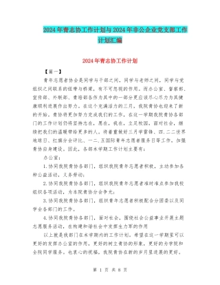 2024年青志协工作计划与2024年非公企业党支部工作计划汇编