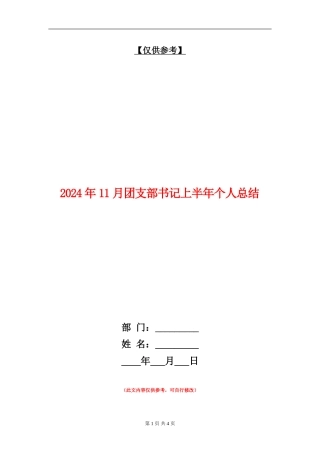 2024年11月团支部书记上半年个人总结