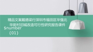 精品文案戴德梁行深圳市福田区华强北华新村旧城改造可行性研究报告课件