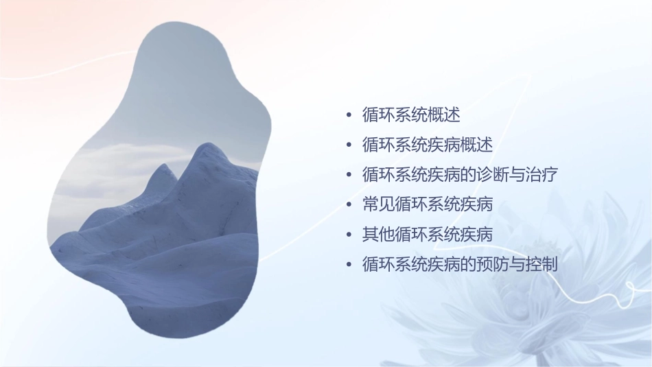 循环系统疾病通用课件_第2页