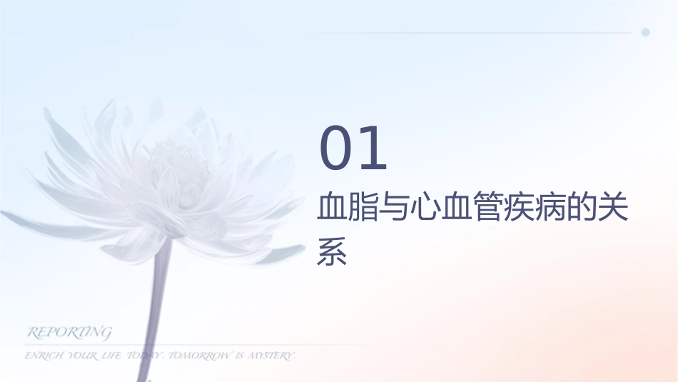 血脂综合管理他汀探索之路课件_第3页