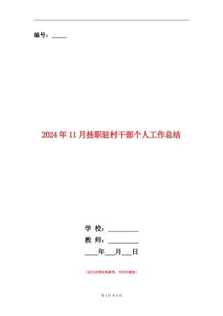 2024年11月挂职驻村干部个人工作总结
