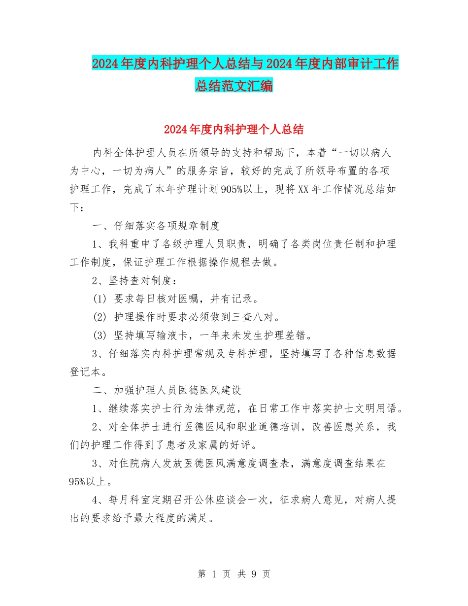 2024年度内科护理个人总结与2024年度内部审计工作总结范文汇编_第1页