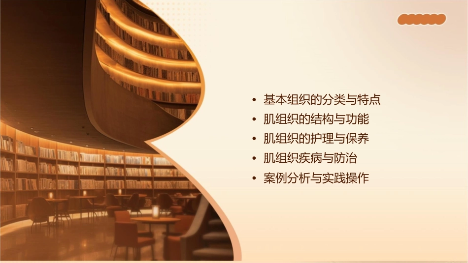 组织胚胎学 基本组织肌组织护理课件_第2页