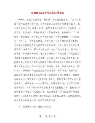 市城建2024年度工作总结范文