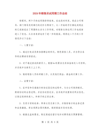2024年销售员试用期工作总结