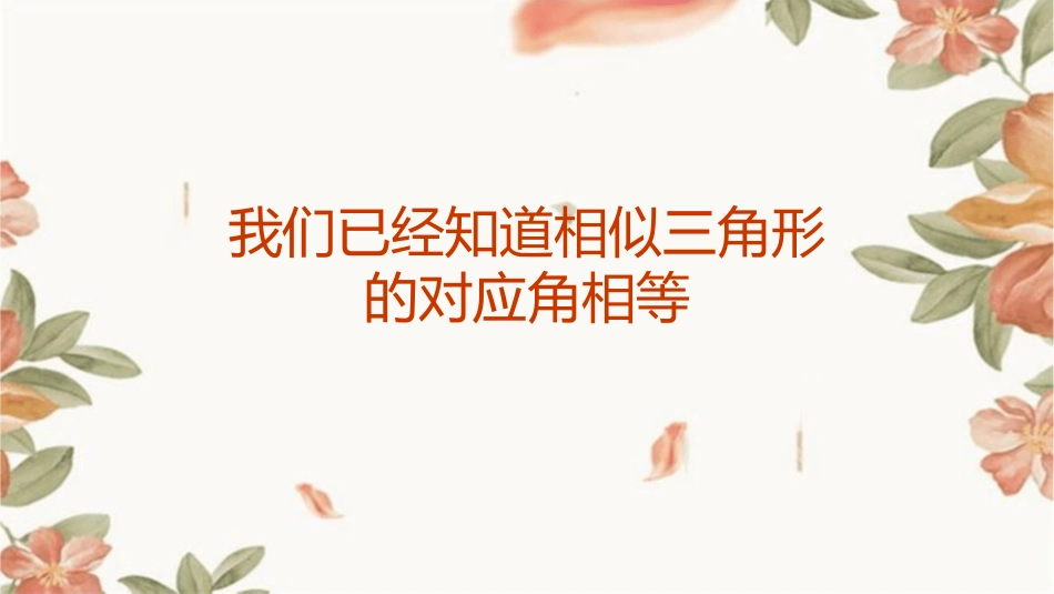 我们已经知道相似三角形的对应角相等课件_第1页