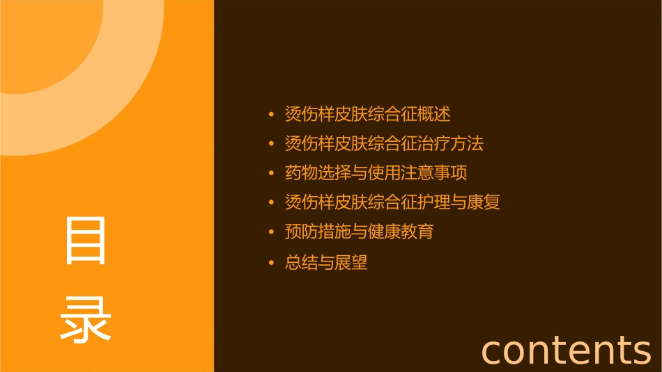 烫伤样皮肤综合征课件_第2页