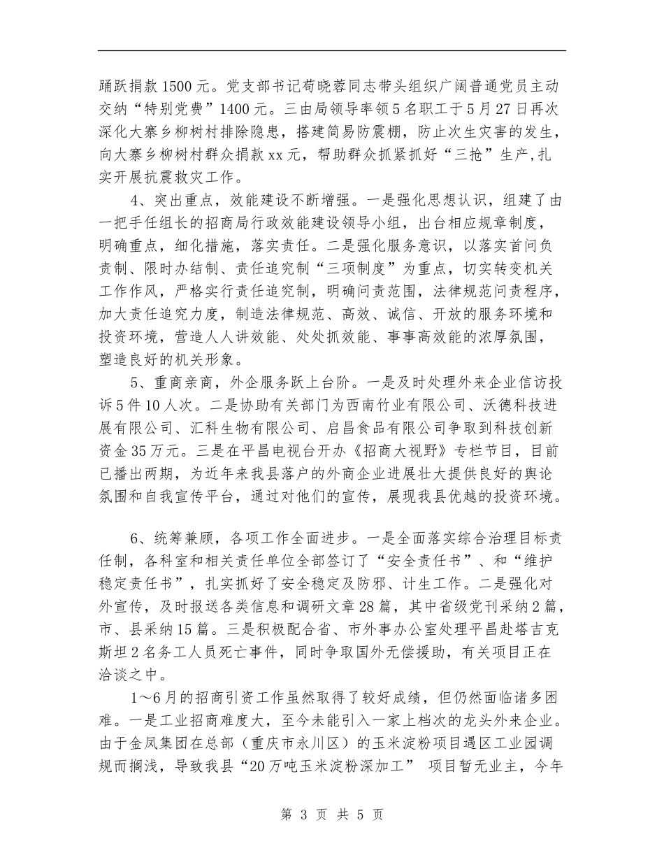 2024年上半年招商局工作总结_第3页