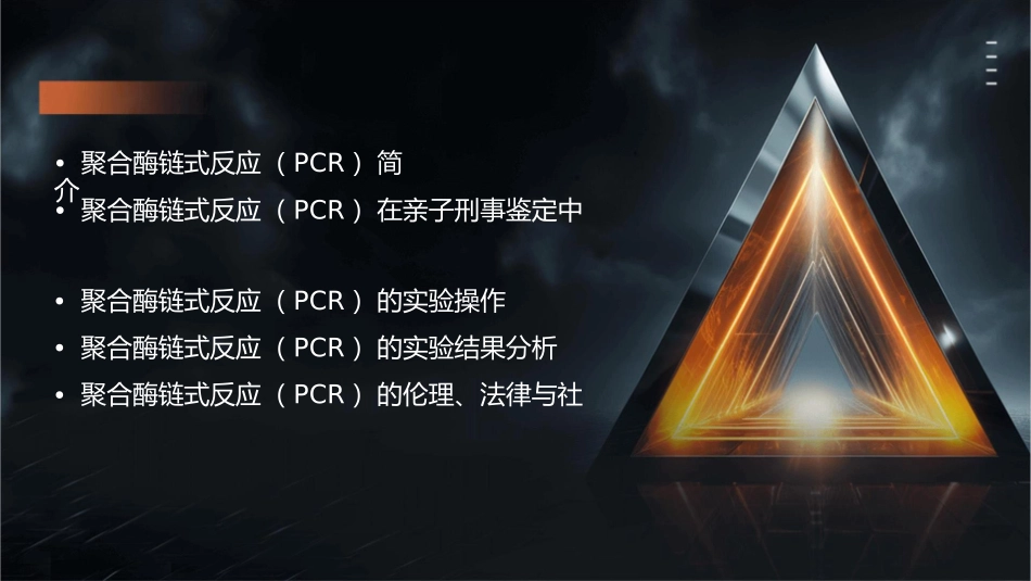 聚合梅连锁反应与亲子刑事鉴定课件_第2页