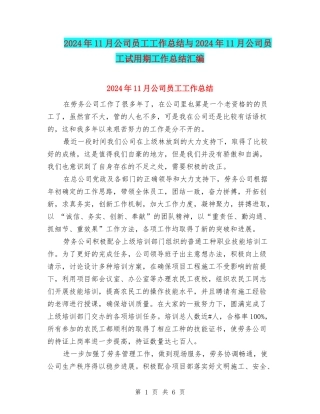 2024年11月公司员工工作总结与2024年11月公司员工试用期工作总结汇编