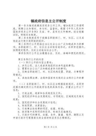 镇政府信息主公开规章制度