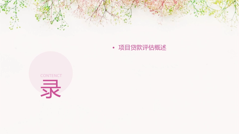 项目贷款评估课件_第2页