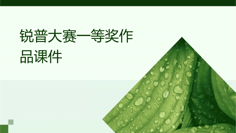 锐普大赛一等奖作品课件_第1页