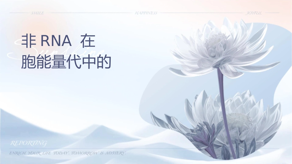 非编码RNA在肿瘤细胞能量代谢中的护理意义_第1页