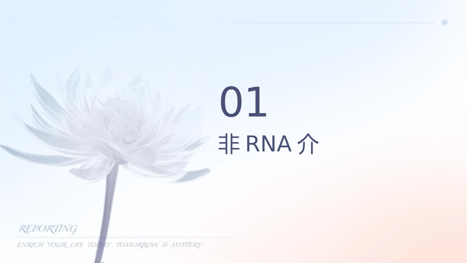 非编码RNA在肿瘤细胞能量代谢中的护理意义_第3页