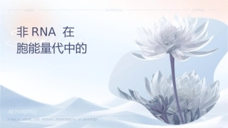 非编码RNA在肿瘤细胞能量代谢中的护理意义