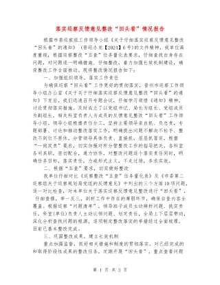 落实巡察反馈意见整改“回头看”情况报告