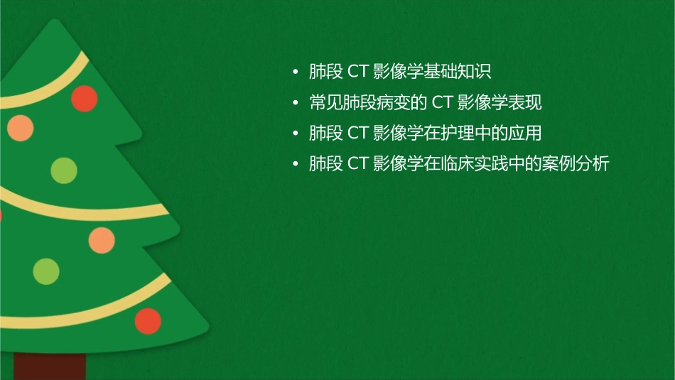 肺段CT影像学表现护理课件_第2页