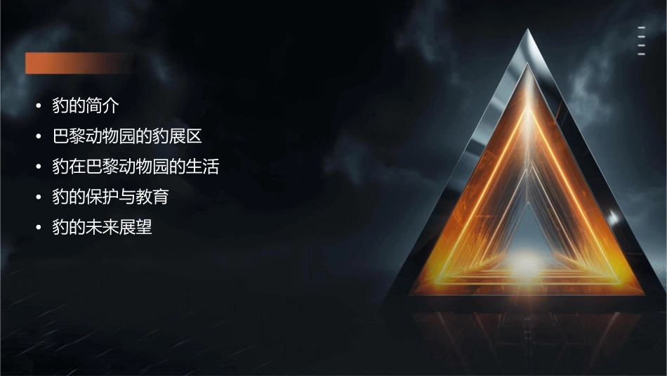 豹——在巴黎动物园课件_第2页