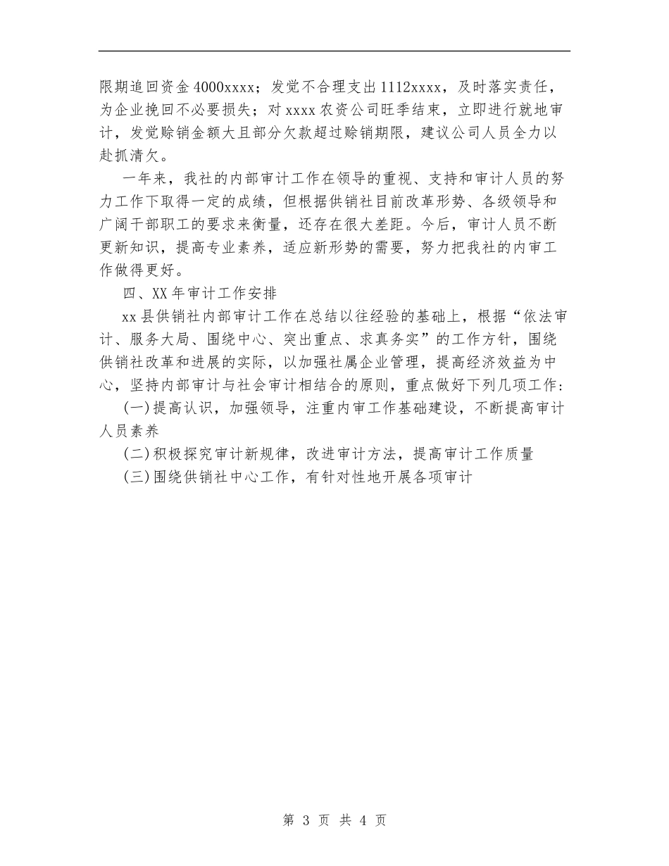 县供销社内部审计工作总结【新版】_第3页