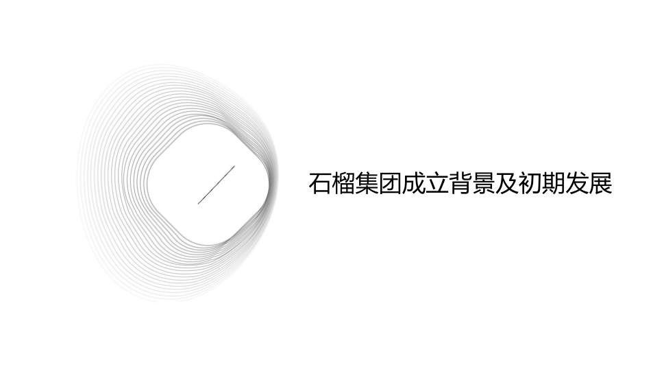 石榴集团历年大事记课件_第3页