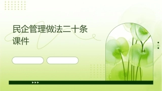民企管理做法二十条课件