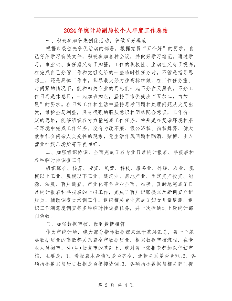 2024年统计局副局长个人年度工作总结_第2页