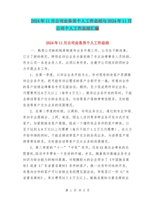 2024年11月公司业务员个人工作总结与2024年11月公司个人工作总结汇编