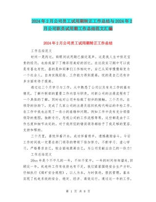 2024年2月公司员工试用期转正工作总结与2024年2月公司职员试用期工作总结范文汇编