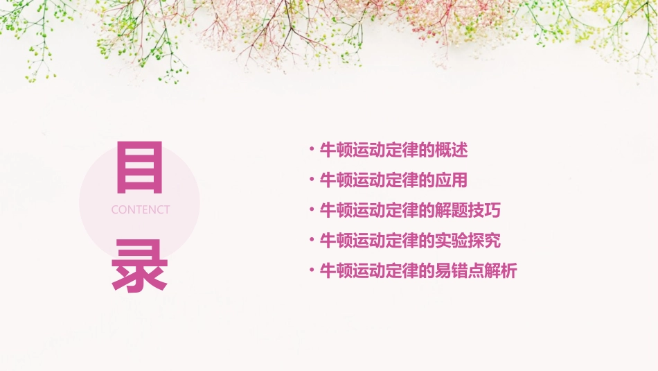 高三物理一轮复习专题牛顿运动定律课件_第2页