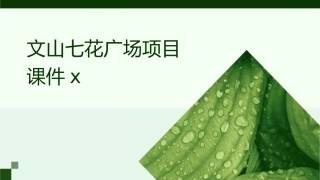 文山七花广场项目课件x